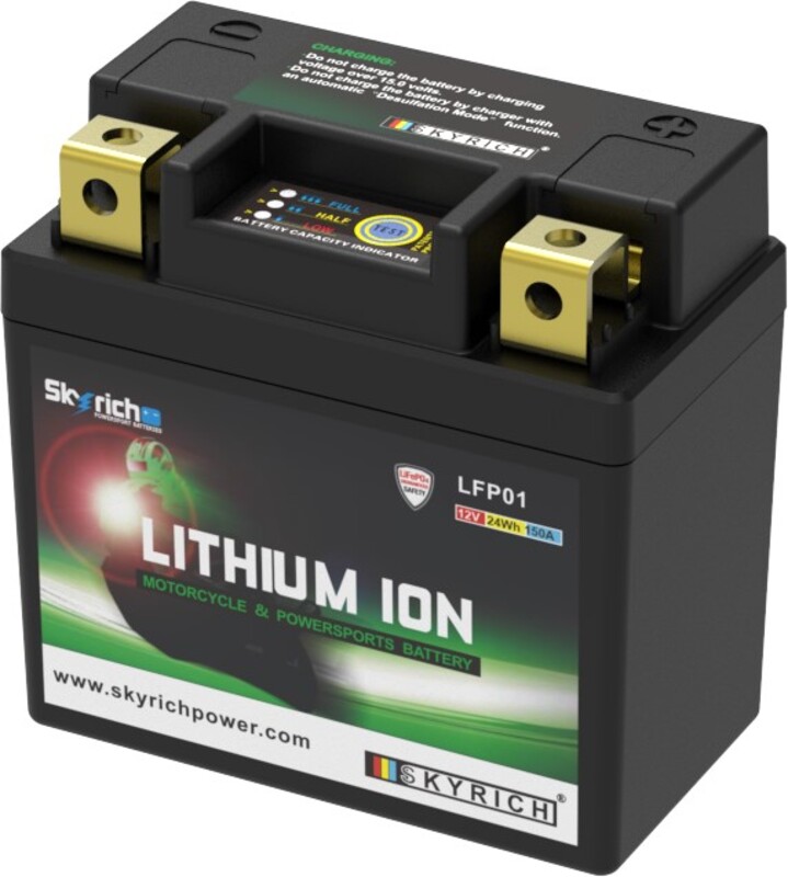 Batterie SKYRICH Lithium-Ion – LFP01