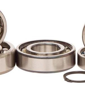 Kit roulements boîte de vitesse HOT RODS Suzuki RM85