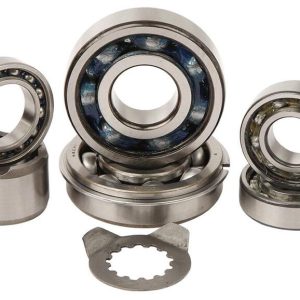 Kit roulements boîte de vitesse HOT RODS Yamaha YFM 660 Raptor