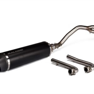 Pot d&rsquo;échappement MALOSSI Wild Lion