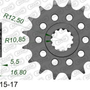 Pignon AFAM acier standard – 520