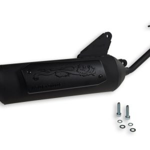 Pot d&rsquo;échappement MALOSSI Wild Lion