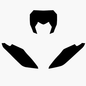 Fonds de plaque BLACKBIRD noir Fantic XX