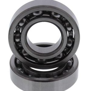 Jeu de roulement de contrepoids HOT RODS – Polaris