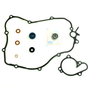 Joint de couvercle de pompe à eau CENTAURO