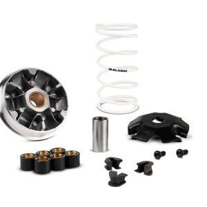 Variateur MALOSSI Multivar 2000