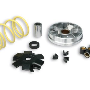 Variateur MALOSSI Multivar