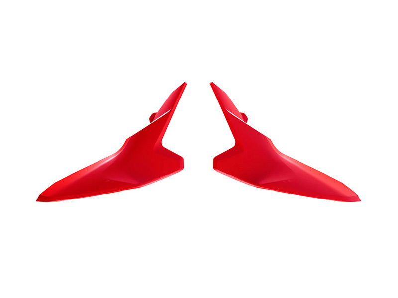 Plaques latérales RACETECH