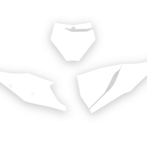 Fonds de plaque BLACKBIRD