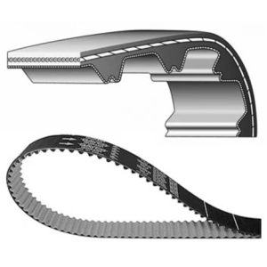 Courroie de distribution DAYCO