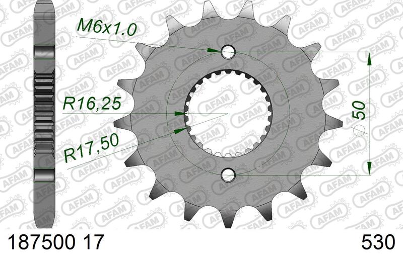 Pignon AFAM acier standard – 530